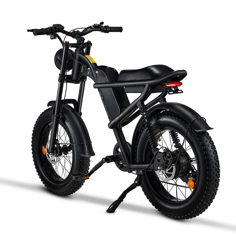 1500W Electric Bike with Full Suspension, 20" Fat Tire, 31.2AH Battery H5515