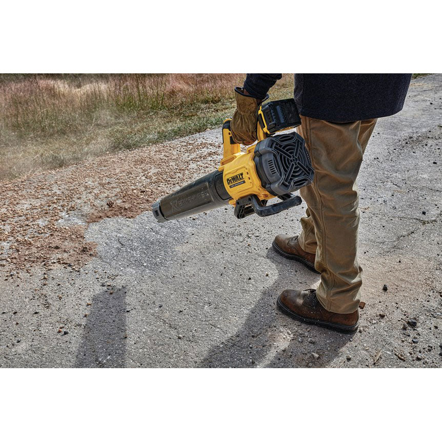 20V Max Brushless Handheld Blower Kit H79719