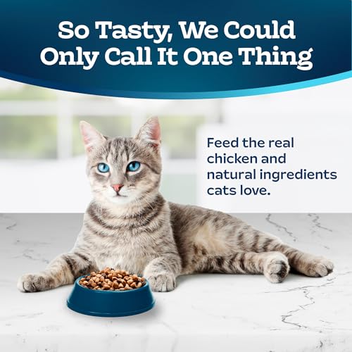 15-lb. Bag Dry Cat Food Q1654