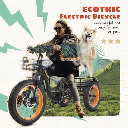 Electric Tricycle, Fat Tire 750W 48V 22.4AH Removable Battery, 7 Speeds 3 Wheel Electric Trike with Basket F6590