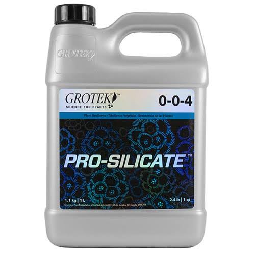 Pro Silicate 10 Liter Z7972