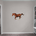 X-Large Removable Wall Decal D223
