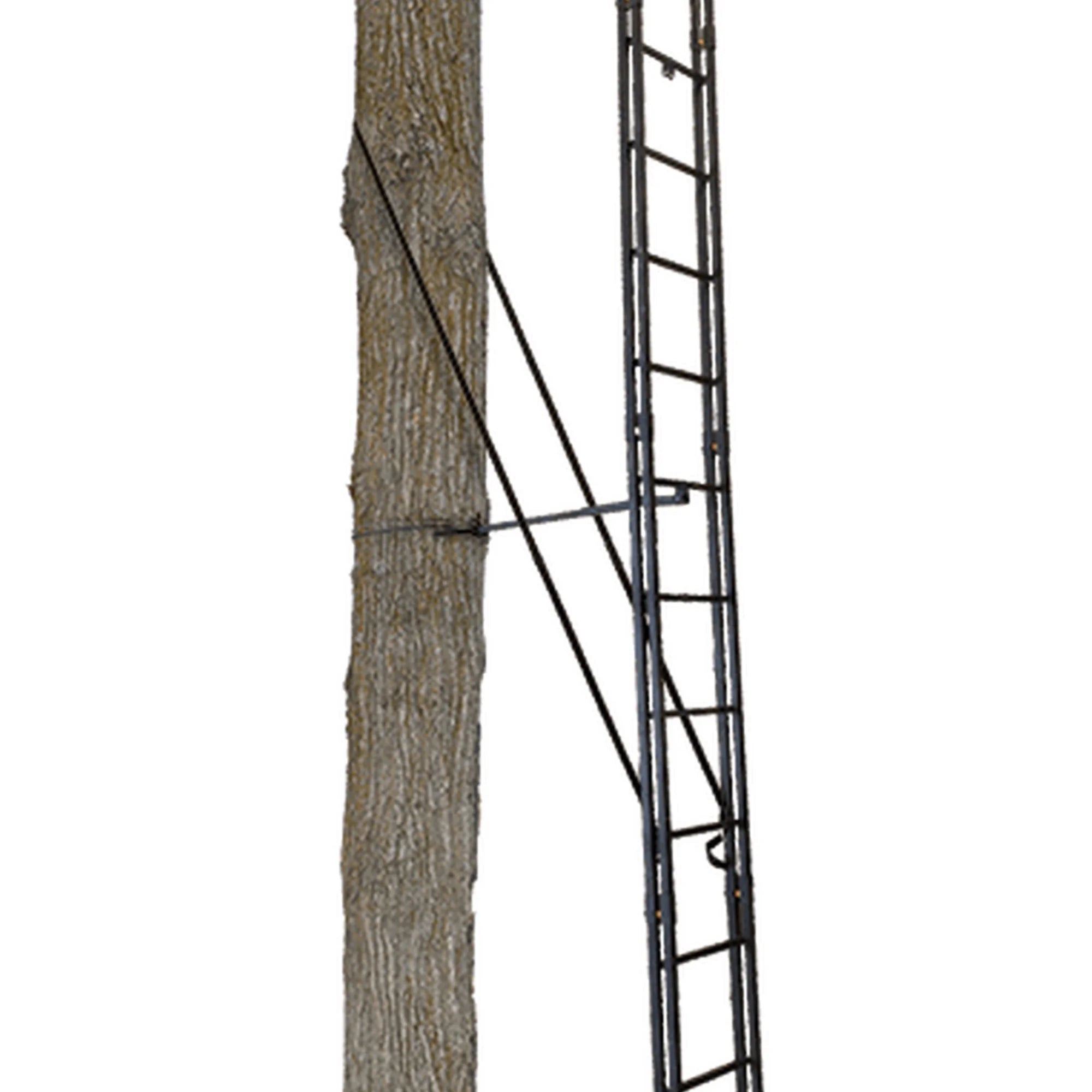 Black 20 Foot 1 Person Ladder Tree Stand X3598