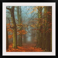Black Frame Print 28x22 Q730569