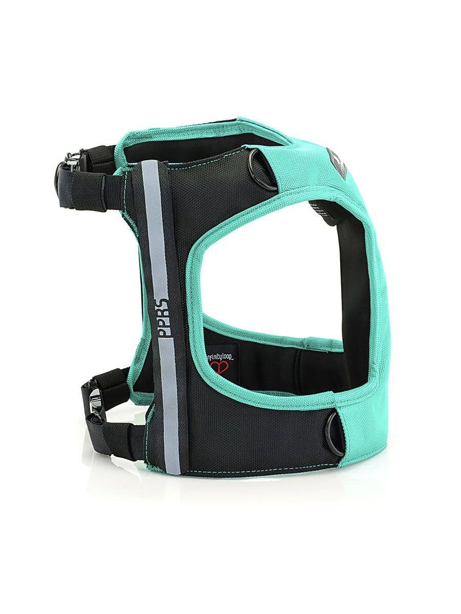 Large Black Dog Car Harness R17139