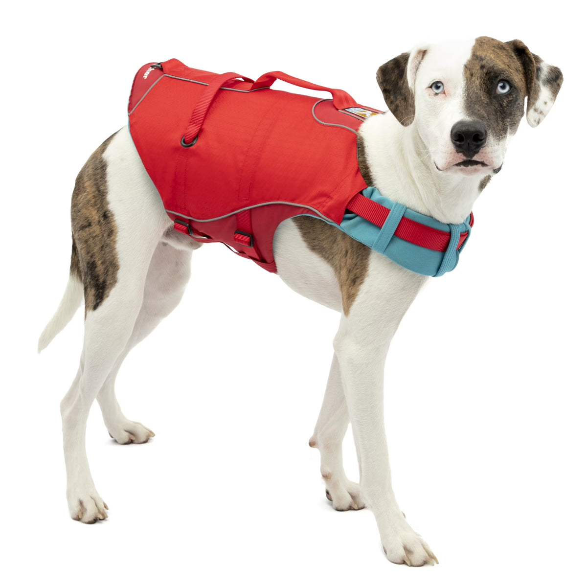 Chili Red Reflective Dog Life Jacket (Medium) E96869